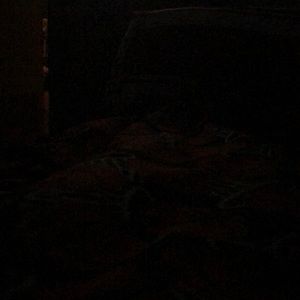 Meet your Posher, Annmarie